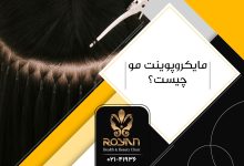 مایکروپوینت